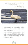카드뉴스 - 충남더숨여행-서천 금강하구 - 충남도청 미디어 충남더숨여행-서천 금강하구