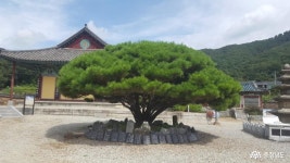 충남넷 모바일 상처 입은 철확에 마음길이 닿다