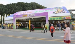 지역신문뉴스 - 지역축제 각자도생·····누구를 위한 축제인가? - 충청남도 지역축제 각자도생·····누구를 위한 축제인가?