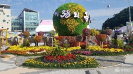 사람세상 - 금산인삼축제의 이모저모 - 충남도청 미디어 금산인삼축제의 이모저모