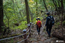 통통충남 - 충남도청 미디어 빨갛게 익어가는 대둔산의 가을 아침