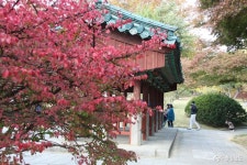 문화 - 만추를 즐기는 나들이객으로 가득한 현충사 - 충청남도 만추를 즐기는 나들이객으로 가득한 현충사