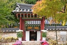 생생뉴스 - 계룡산 추갑사의 단풍은 이제 시작 - 충남도청 미디어 계룡산 추갑사의 단풍은 이제 시작