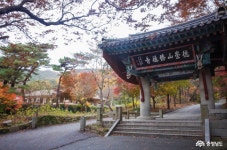 > > >충남관광