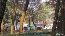 통통충남 - 장항송림산림욕장 - 충남도청 미디어 장항송림산림욕장