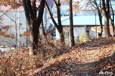 사는이야기 - 역사적으로 유래깊은 천안 남산공원을 거닐다 - 충청남도 역사적으로 유래깊은 천안 남산공원을 거닐다