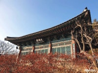 통통충남 - 충남도청 미디어