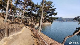  >  > >충남관광
