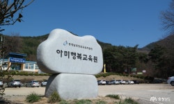 여행 - 봄꽃과 함께 걷는 숲길 - 충청남도 봄꽃과 함께 걷는 숲길