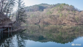 충남넷 모바일 자연과 벗하며 산책하기에 좋은 공주 ‘금학생태공원’