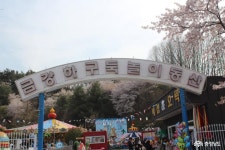 > > >충남관광