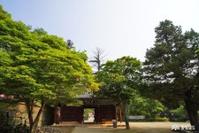 문화 - 천년산사 마곡사 여름 풍경과 힐링하기 - 충청남도 천년산사 마곡사 여름 풍경과 힐링하기