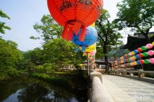 문화 - 천년산사 마곡사 여름 풍경과 힐링하기 - 충청남도 천년산사 마곡사 여름 풍경과 힐링하기