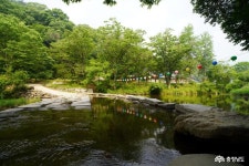 문화 - 천년산사 마곡사 여름 풍경과 힐링하기 - 충청남도 천년산사 마곡사 여름 풍경과 힐링하기
