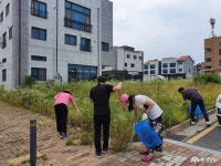 시군뉴스 - 홍북읍, 우리마을·우리상가 환경정리는 우리 손으로! - 충청남도 홍북읍, 우리마을·우리상가 환경정리는 우리 손으로!