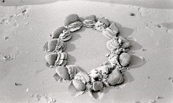 문화 - “인간의 이기가 닿지 않는 곳에서 예술은 시작됐다” - 충청남도 “인간의 이기가 닿지 않는 곳에서 예술은 시작됐다”