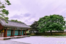 사는이야기 - 충현서원에서 송곡지까지의 산책 - 충청남도 충현서원에서 송곡지까지의 산책