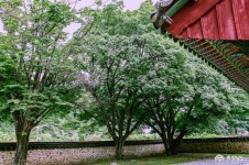 사는이야기 - 충현서원에서 송곡지까지의 산책 - 충청남도 충현서원에서 송곡지까지의 산책