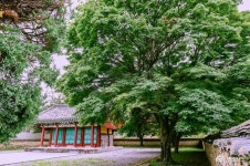 사는이야기 - 충현서원에서 송곡지까지의 산책 - 충청남도 충현서원에서 송곡지까지의 산책