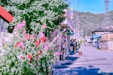 사는이야기 - 충현서원에서 송곡지까지의 산책 - 충청남도 충현서원에서 송곡지까지의 산책