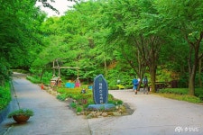 > > >충남관광 충남관광