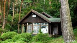 먹거리 - 충남 가볼만한곳 안면도자연휴양림 - 충청남도 충남 가볼만한곳 안면도자연휴양림