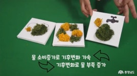 시군뉴스 - - 충청남도 시군뉴스 - 충청남도
