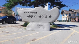 여행 - 태안 신두리해수욕장과 신두리 해안사구 방문기 - 충청남도 태안 신두리해수욕장과 신두리 해안사구 방문기