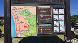 여행 - 태안 신두리해수욕장과 신두리 해안사구 방문기 - 충청남도 태안 신두리해수욕장과 신두리 해안사구 방문기