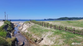 여행 - 태안 신두리해수욕장과 신두리 해안사구 방문기 - 충청남도 태안 신두리해수욕장과 신두리 해안사구 방문기