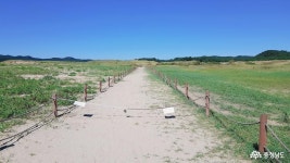 여행 - 태안 신두리해수욕장과 신두리 해안사구 방문기 - 충청남도 태안 신두리해수욕장과 신두리 해안사구 방문기