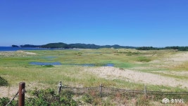 여행 - 태안 신두리해수욕장과 신두리 해안사구 방문기 - 충청남도 태안 신두리해수욕장과 신두리 해안사구 방문기
