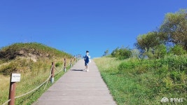 여행 - 태안 신두리해수욕장과 신두리 해안사구 방문기 - 충청남도 태안 신두리해수욕장과 신두리 해안사구 방문기