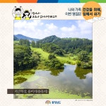 도정뉴스 - 마음으로 보는 고향, 서산 - 충청남도 마음으로 보는 고향, 서산