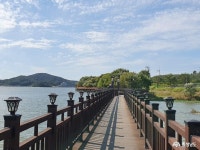 통통충남 - 산책하고 힐링하기 좋은 곳 논산 탑정호 수변생태공원 - 충남도청 미디어 산책하고 힐링하기 좋은 곳 논산&#39; 탑정호... 