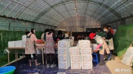 먹거리 - 예산군, 주민생활현장 공공서비스연계강화 사업 일환 ‘김장나눔’ 실시 - 충청남도 예산군, 주민생활현장 공공서비스연계강화 사업... 