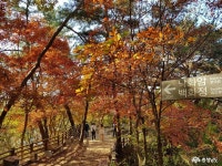 사는이야기 - 소중한 백제문화의 터전 충남 부여의 부소산성 - 충청남도 소중한 백제문화의 터전 충남 부여의 부소산성
