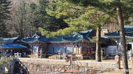 > > >충남관광