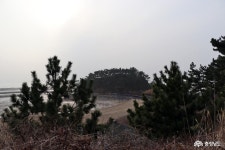 여행 - 바다생명체들의 보고 천수만이 한눈에 들어오는 속동전망대 - 충남넷 미디어 바다생명체들의 보고 천수만이 한눈에 들어오는 속동전망대