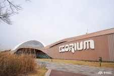 먹거리 - 서천 가볼만한곳, 마량리 동백나무숲 외~ - 충남넷 미디어 서천 가볼만한곳, 마량리 동백나무숲 외~