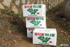  >  > >충남관광