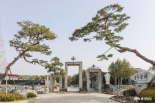 통통충남 - 장항송림산림욕장 - 충남도청 미디어 장항송림산림욕장