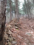 여행 - 봉화대 산행 - 충남넷 미디어 봉화대 산행