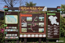 충남넷 모바일 성소의 못자리가 된 버그내 언덕