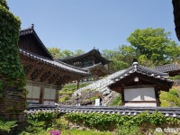 충남넷 모바일 결혼기념일에 마곡사에서 추억 쌓기