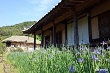 > > >충남관광 충남관광