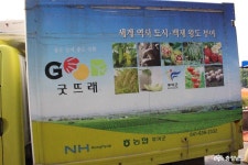 충남관광