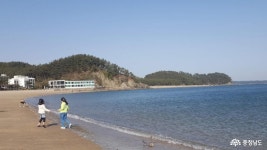  >  > >충남관광