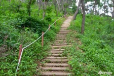  >  > >충남관광