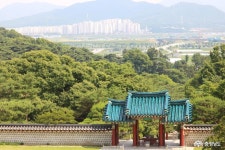  >  > >충남관광